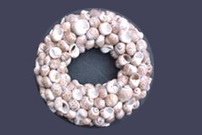 Shell Wreath 1