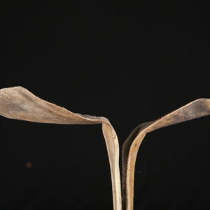 Shoe Horn Natural