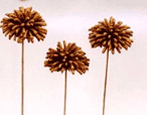 Shuti Flower