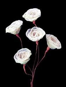 Skeleton Rose