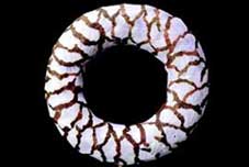 Sola Cab Wreath