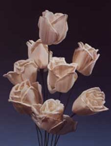 Sola Bud Rose