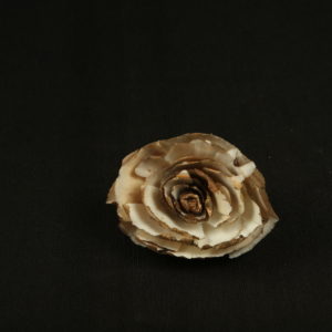Sola Cab Rose