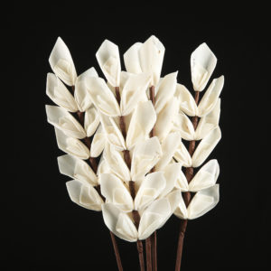 Sola Coral Bunch