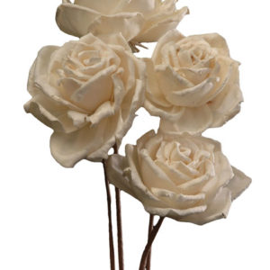 Sola Deco Rose