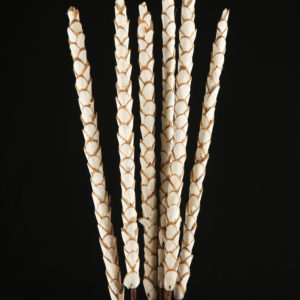 Sola Dryanda Stick
