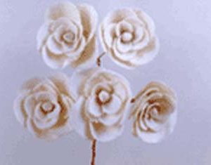 Sola Flax Flower