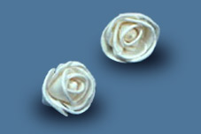 Sola Freeland Rose
