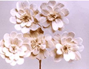 Sola Heart Flower