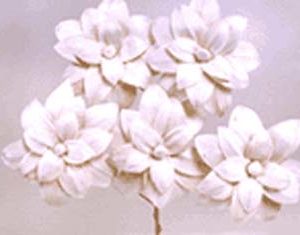 Sola Milo Flower