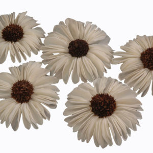 Sola New Sunflower