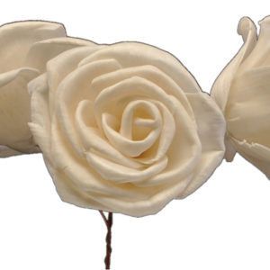 Sola Pie Rose