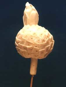 Sola Pineapple with leaf