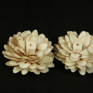 Sola Shalu Flower