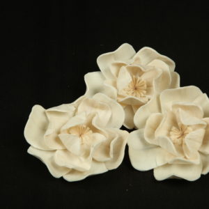 Sola Snow Flower