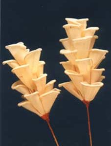 Sola Water Cone