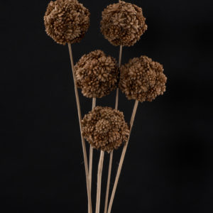 Star Flower Ball