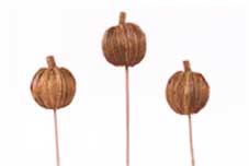 Straw Grass Apple