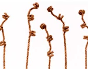 Vizi Step Spring