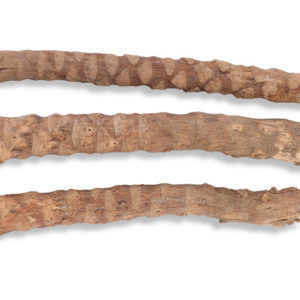 White Root Skin