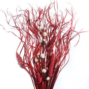 Dried Bouquet-2001