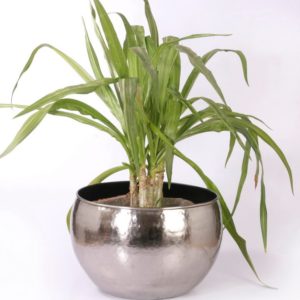 Planter P0029