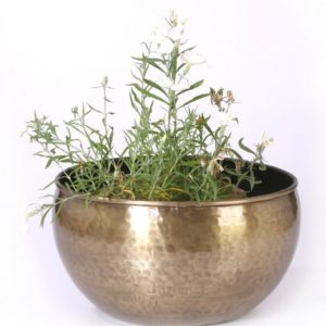 Planter P0031