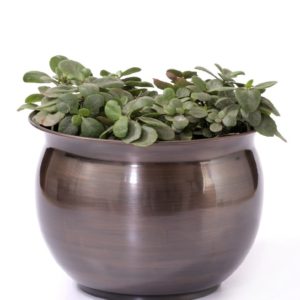 Planter P0037
