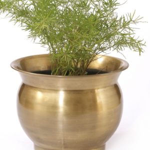 Planter P0038