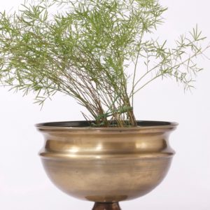 Planter P0039
