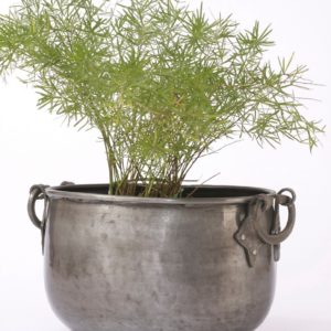 Planter P0040
