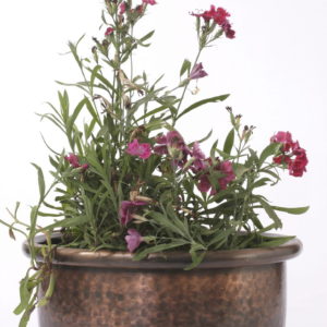 Planter P0059