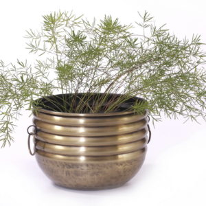 Planter P0061
