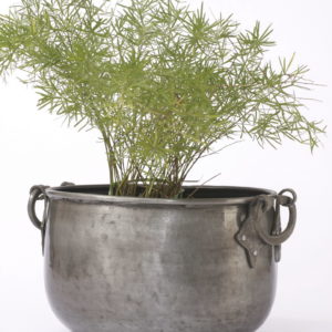 Planter P0064
