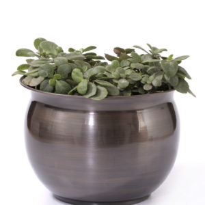 Planter P0066