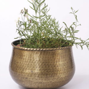 Planter P0068