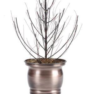 Planter P0190