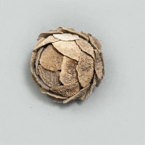 Sponge Mushroom Ball