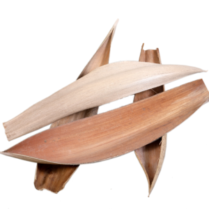 Coco Boat