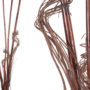 Bamboo Willow Curl