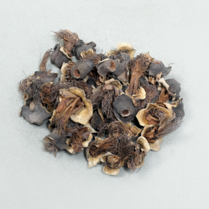 Semal Flower