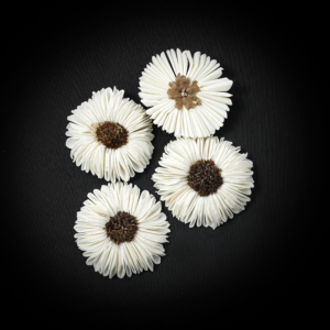 Sola Autumn Sunflower