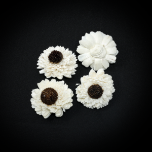 Sola Daisy Zinnia
