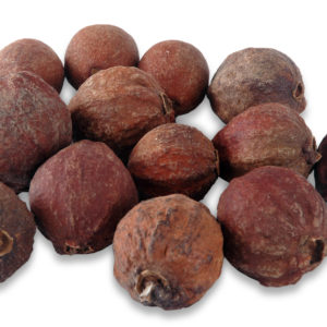 Guava Fruit