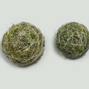 Moss Ball