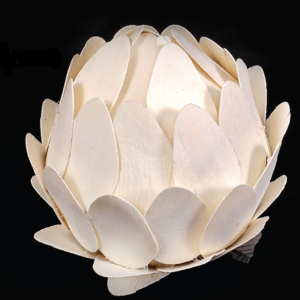 Wooden Spoon Ball